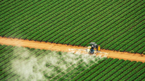 Reliable Gretna, FL Pest Control Solutions