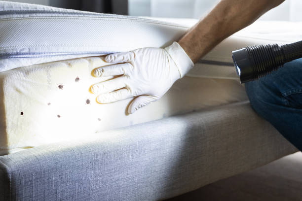 Gretna, FL Pest Control Company