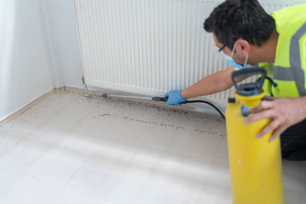 Best Ant Control Services  in Gretna, FL