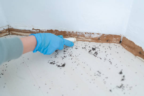 Best Pest Control Near Me  in Gretna, FL